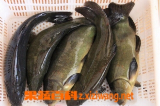 �������Ӫ����ֵ �Զ�������ʲô�ô�