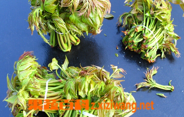 ���߰ٿ��㴻��ʳ�ý���