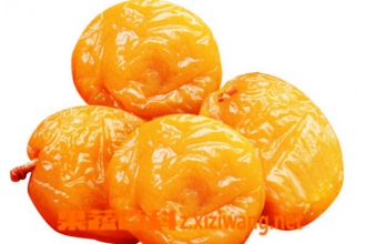 ÷�ɵĹ�Ч������ ��÷�ɵ�