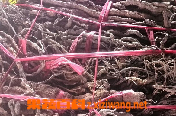 ���߰ٿƺ������Ĺ�Ч������