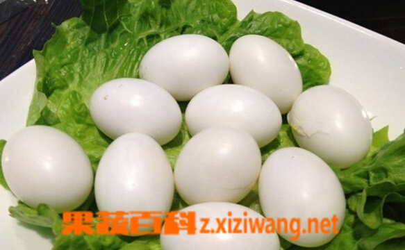 ���߰ٿƸ��ӵ���Ӫ����ֵ�빦Ч