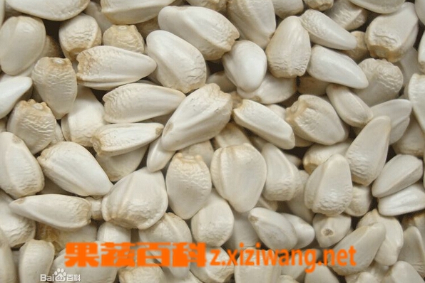 ���߰ٿƺ컨�ѵĹ�Ч������