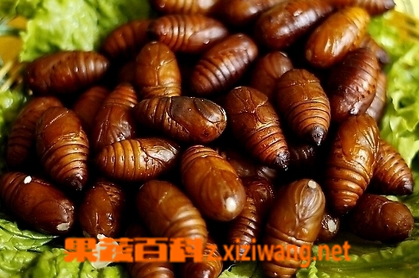 ���߰ٿƲ�Ӽ��Ӫ����ֵ�빦Ч