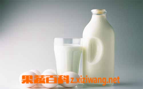 ���߰ٿ�ţ�̱�����ô�� ���ʵ�ţ����ʲô��;