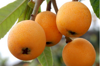 ������ô�� ���˵ĳ����Է�