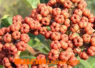 ���߰ٿ�������ͼƬ �����ǵĹ�Ч������