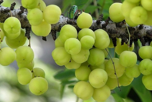 ���߰ٿƴ����ĳ����Է�