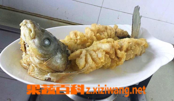 ���߰ٿ�������������ȫ��ͼ �����������ͼ��