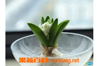 ��������ˮ����� �����ӵ�ˮ��ֳ����