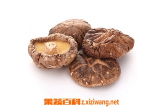 ���鹽������