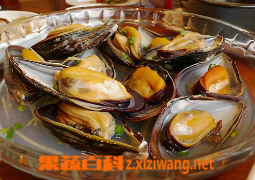 ���߰ٿƺӰ���ô�Ժ�