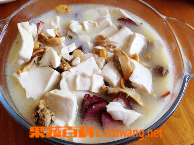 ���߰ٿƺӰ���������