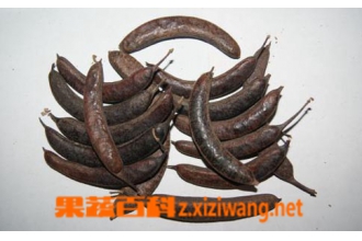 ������ͼƬ �������Ĺ�Ч������ʳ�÷���