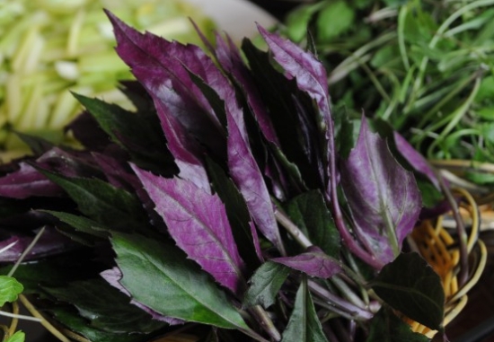 ���߰ٿ��ϱ�����Ĺ�Ч������