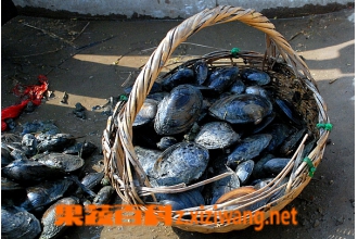 �Ӱ���ôϴ�ɾ� ��ϴ�Ӱ��ķ�������