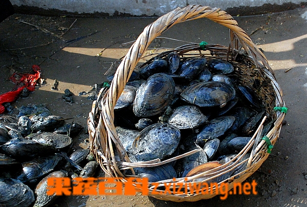 ���߰ٿƺӰ���ôϴ�ɾ�