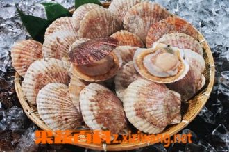 �ȱ���ôϴ ��ϴ�ȱ��ķ�������