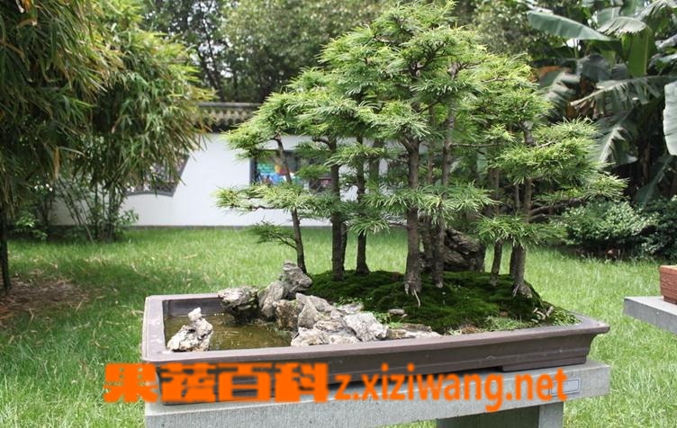 ���߰ٿ��辰��Ǯ�ɵ���������