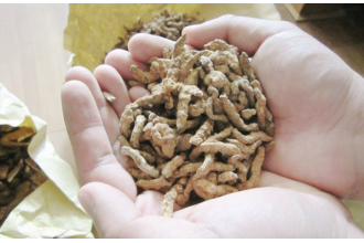 �׽�����Ĥ�������빦Ч