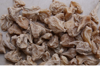 �����ӵĹ�Ч������ ��ҩ�����ӵ�ҩ�ü�ֵ