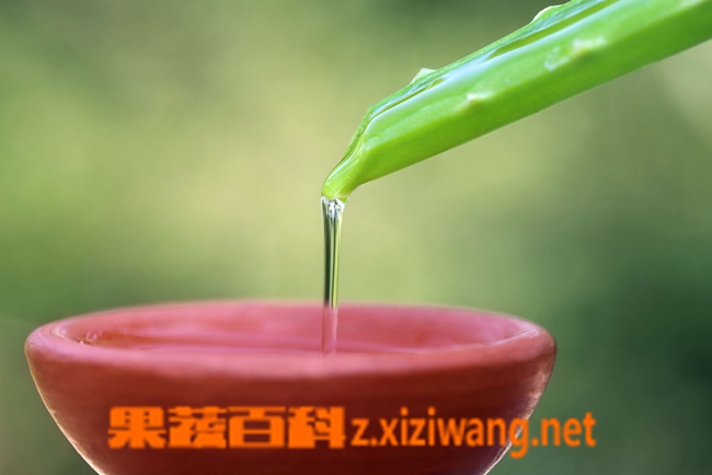 ���߰ٿ�«��֭�Ĺ�Ч������