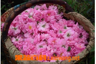 õ�崿¶�Ĺ�Ч������