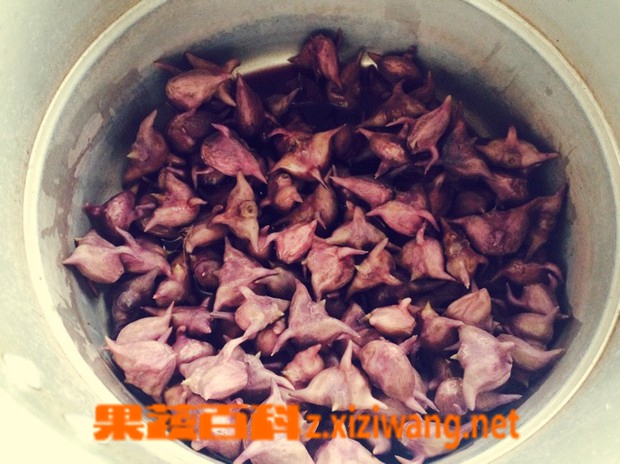 ���߰ٿ������ô�� ��ǵ�������ȫ