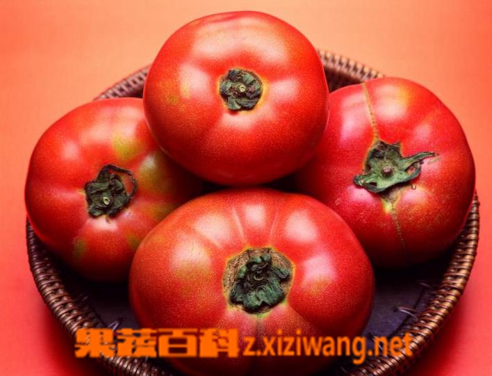 ���߰ٿƷ��Ѻ��صĹ�Ч������