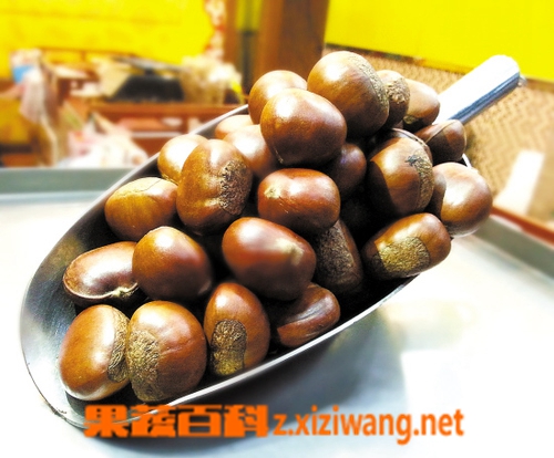 ���߰ٿƳ��ǳ������ĺô��뻵��