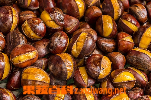 ���߰ٿ����Ӻ�ʲô����һ��� ����ʳ�ý���