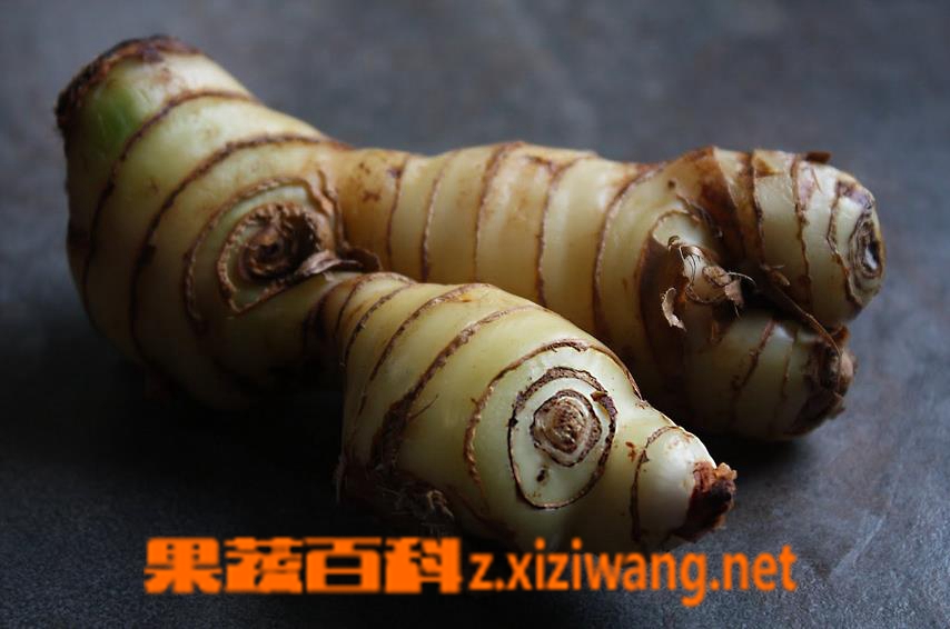 ���߰ٿƸ�����ͼƬ �������Ĺ�Ч������