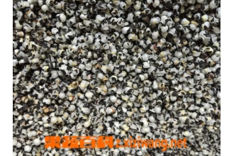 ��������ͼƬ �������еĹ�Ч������