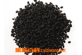 ����֬ͼƬ ����֬�Ĺ�Ч������