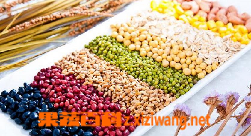 ���߰ٿ�����������������ʲô