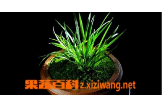 ��β�������� ��β�����ֳ�����̳�
