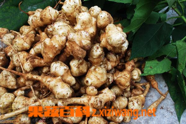 ���߰ٿƹ��ӽ���ô�� ����ӽ�����