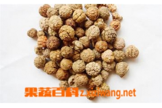 �׶�ޢͼƬ �׶�ޢ�Ĺ�Ч������
