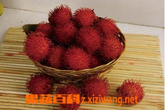 ��ë���ĳԷ� ��ë����Ӫ����ֵ�빦Ч����