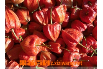 �칽��Ĺ�Ч������ �칽��һ����������