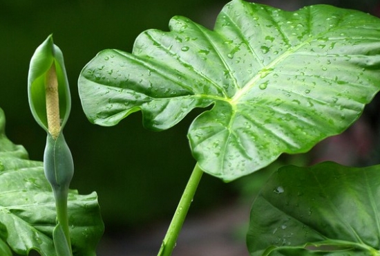 ���߰ٿƵ�ˮ�����ø��Ĵ�������