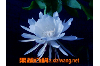 꼻�Ϊʲô������ 꼻��������Ľ���취