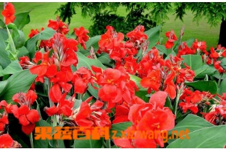 ���˽������ֳ ���˽�����ֳ��������
