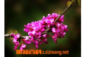 �Ͼ�������� �Ͼ�������ֳ����