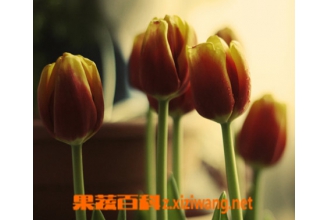 ���������ֳ���� ��ֳ������ע������
