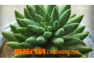 ��侰�����ֳ����