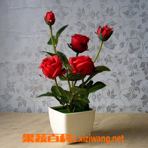 ���߰ٿ�С�¼�����ֳ������ע������