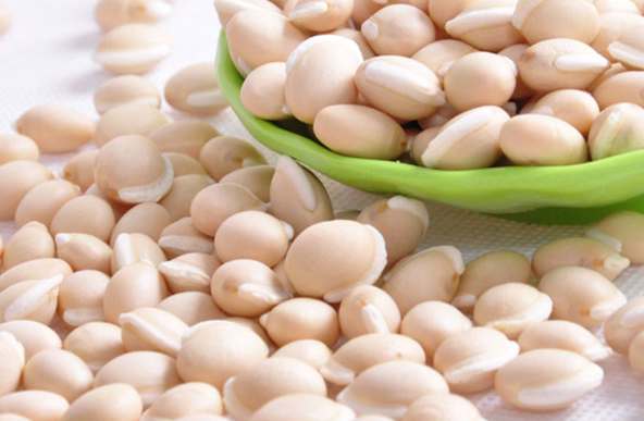 ���߰ٿưױⶹ��ҩ�ü�ֵ�빦Ч