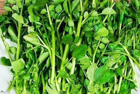 ���߰ٿ�����˵�Ӫ����ֵ�빦Ч