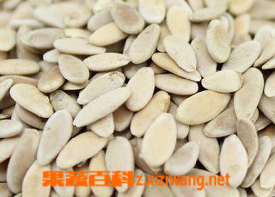 ���߰ٿ�����ӵ�ҩ�ü�ֵ�빦Ч