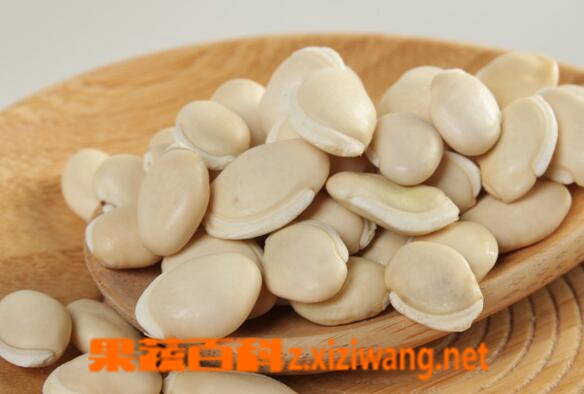 ���߰ٿ�ʲô�˲��ܳ԰ױⶹ